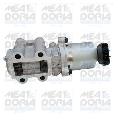 EGR Valve